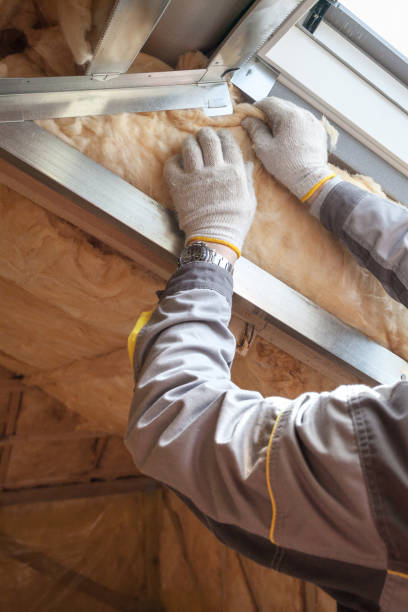 Best Insulation Maintenance and Repair in Jonesville, VA